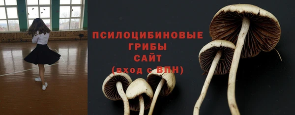сатива Алзамай