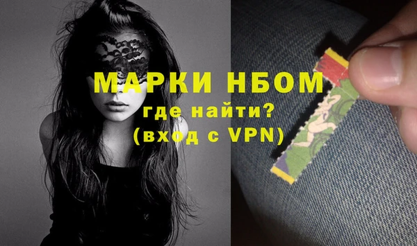 хмурый Алексин