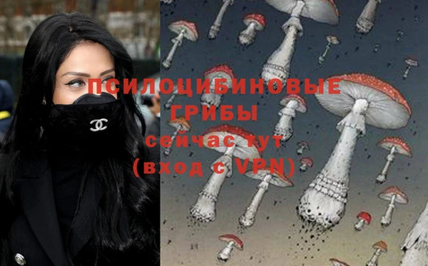хмурый Алексин