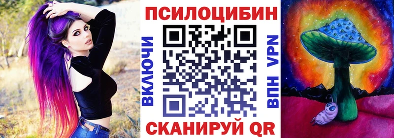 сколько стоит  маркетплейс наркотические препараты  Псилоцибиновые грибы мицелий  Тара 