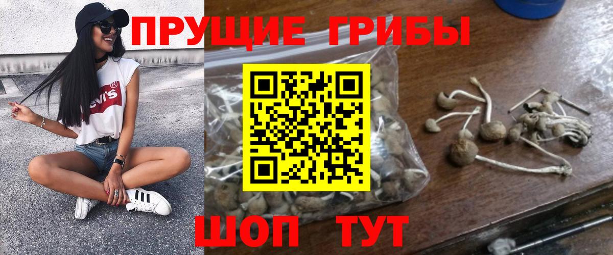 Псилоцибиновые грибы Psilocybine cubensis  Вход с VPN  Псилоцибиновые грибы Psilocybine cubensis  Тара 
