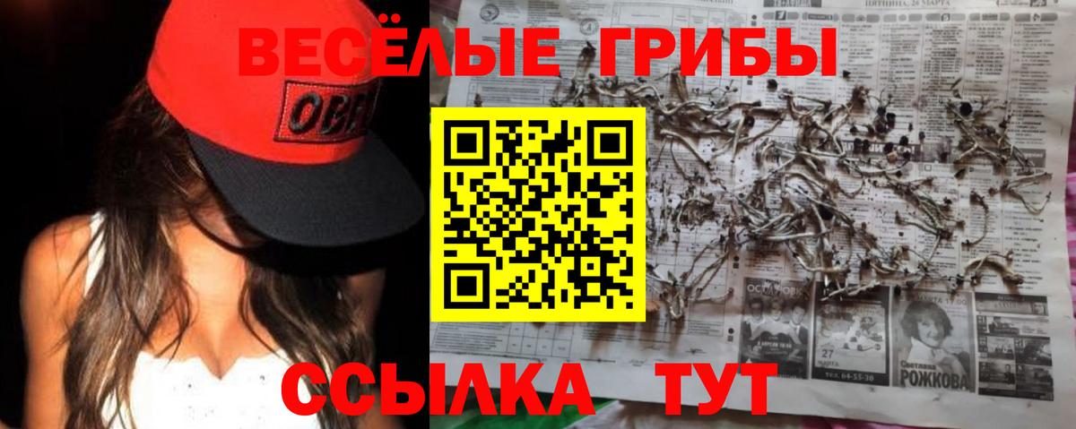 Псилоцибиновые грибы прущие грибы Тара