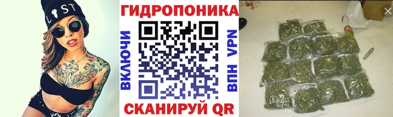 Шишки марихуана MAZAR  мега ССЫЛКА  Тара 